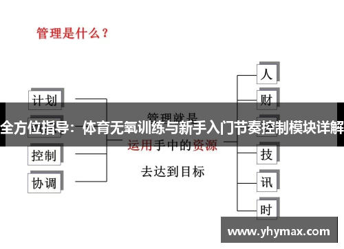 全方位指导：体育无氧训练与新手入门节奏控制模块详解